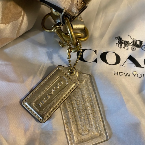 💎NWT Coach Daisy Applique Hobo Bag Multicolor - Picture 4 of 13